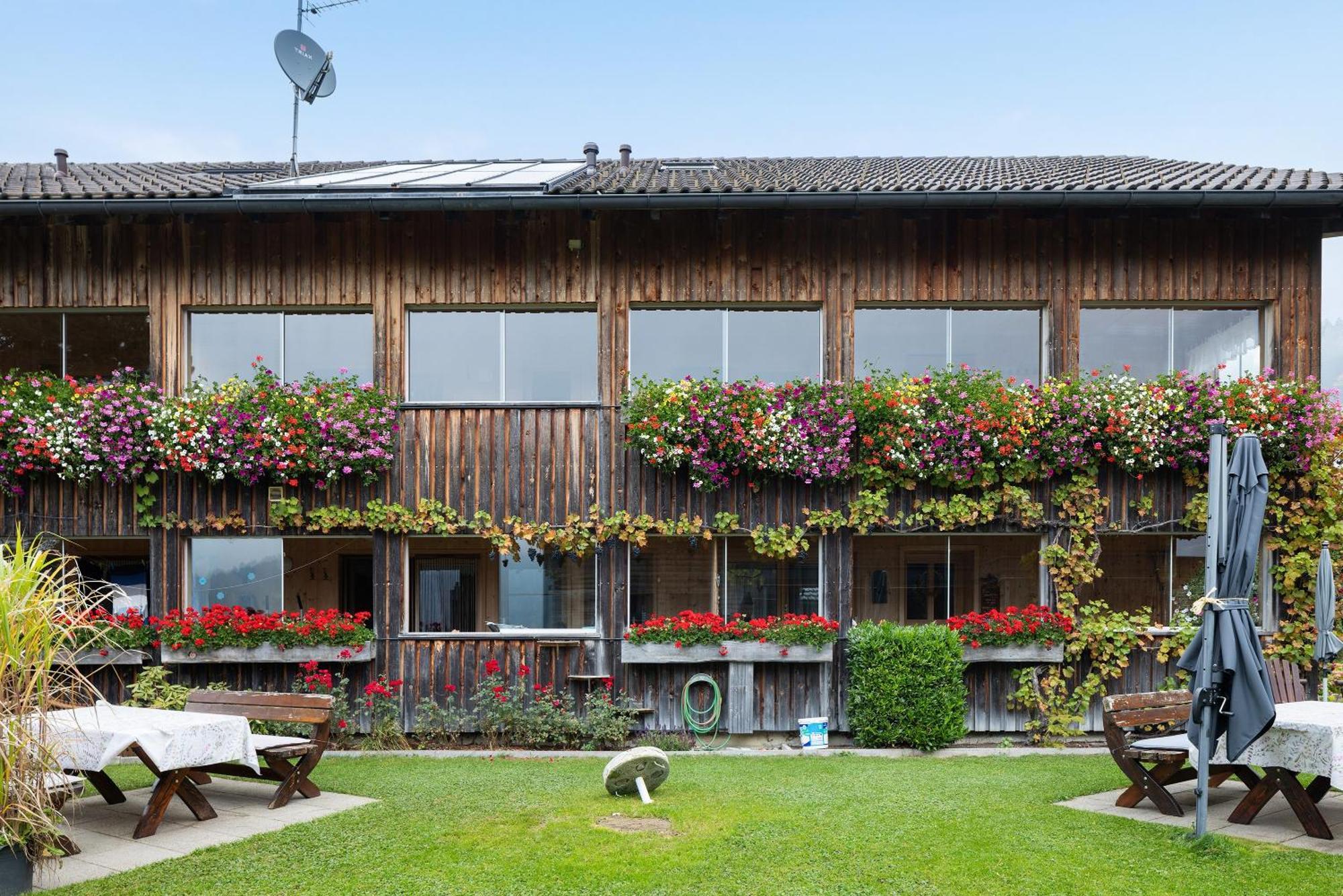 5 Bestbewertete Hotels in den Alpen, die sich wirklich lohnen